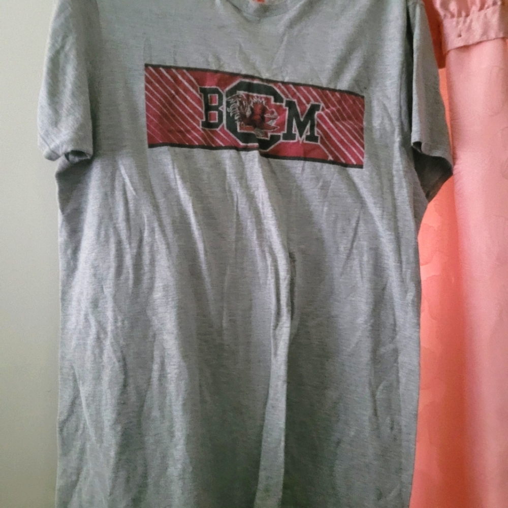 Hanes Heather Gray SC Gmecock  Tee